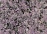 Lilac Stone Countertop Refinishing Color Springfield IL